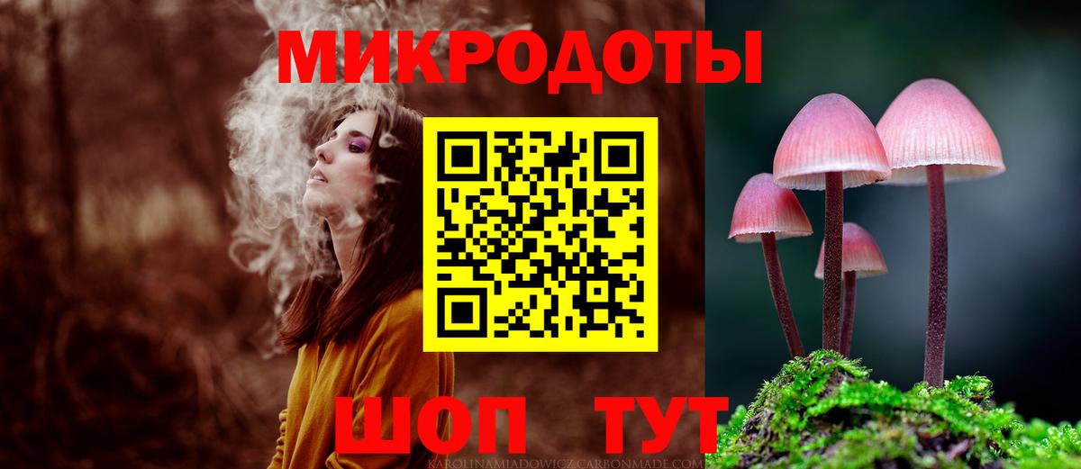 Галлюциногенные грибы Psilocybine cubensis  Вход с VPN  Галлюциногенные грибы Psilocybe  Магадан 