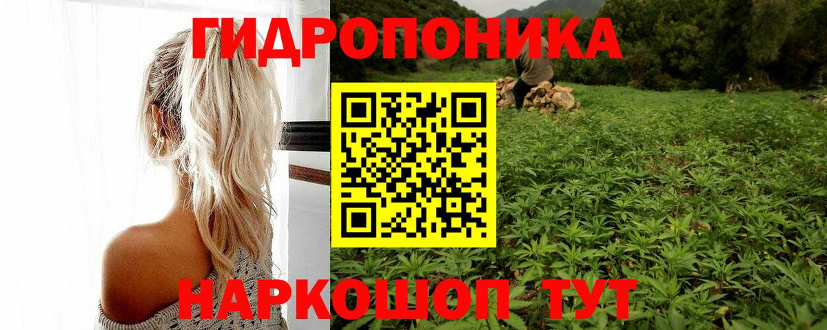 Магадан  Шишки марихуана THC 21%  Вход с VPN  Каннабис конопля  Марихуана OG Kush 